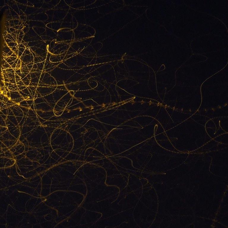 2691-0296.jpg