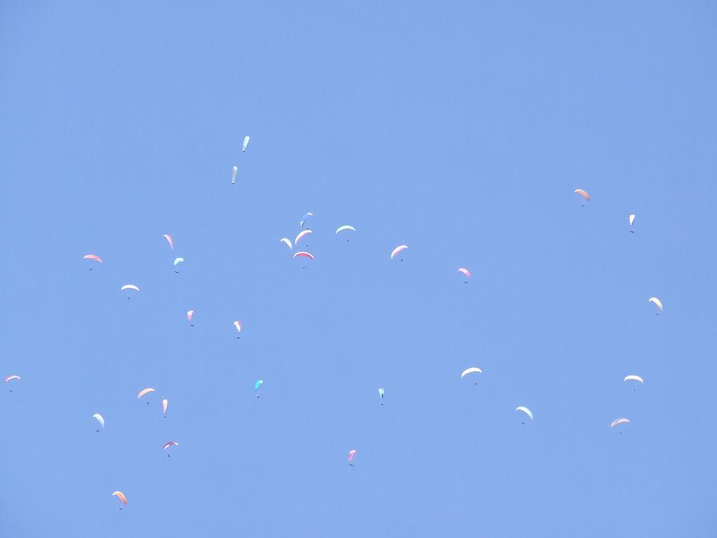 DSCF1253.JPG