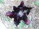 DSCF1274.JPG