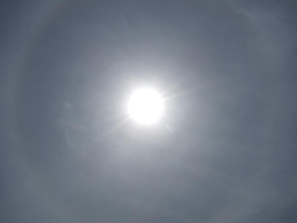 DSCF1328.JPG