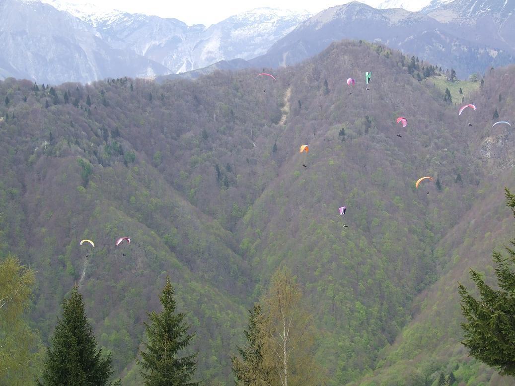 DSCF1338.JPG