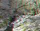 3D_2955-0028.jpg
