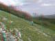 3D_2957-0036.jpg