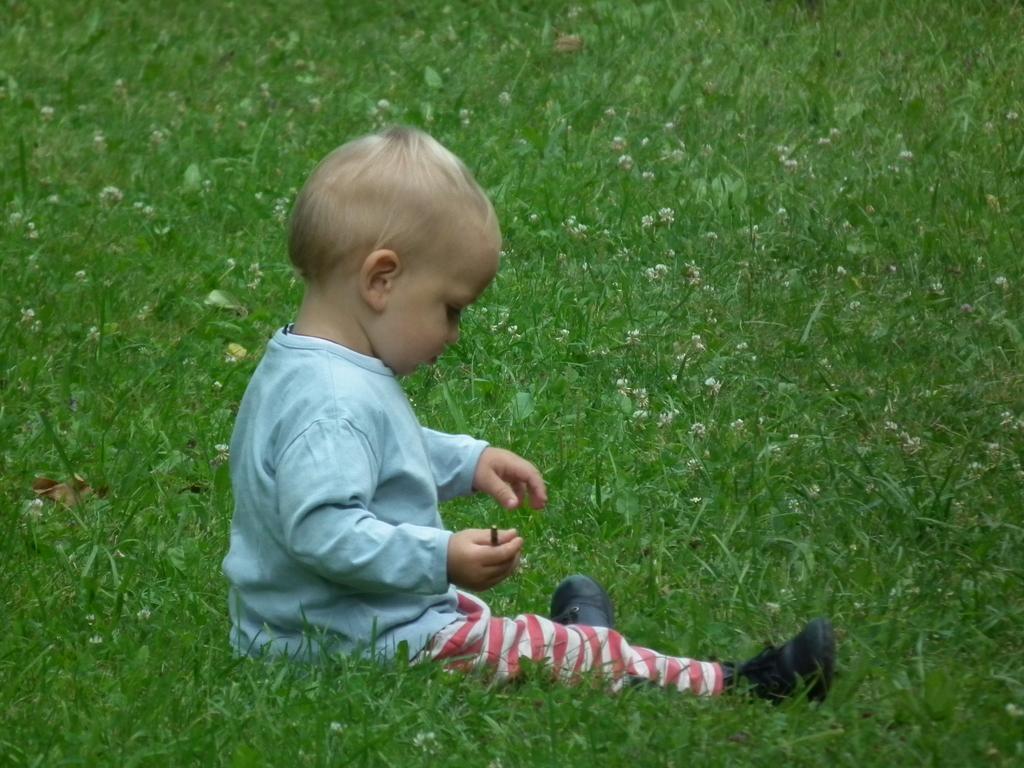 3207-0037.JPG