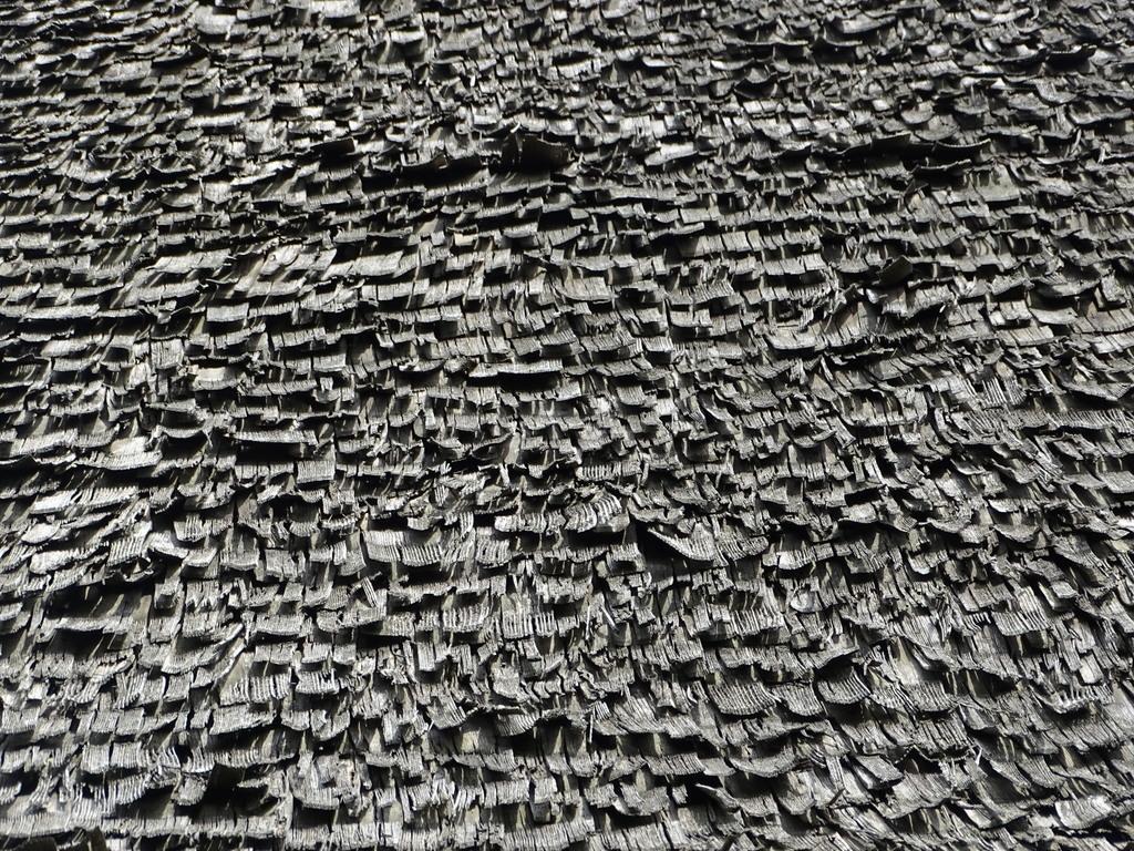 3357-0047.JPG