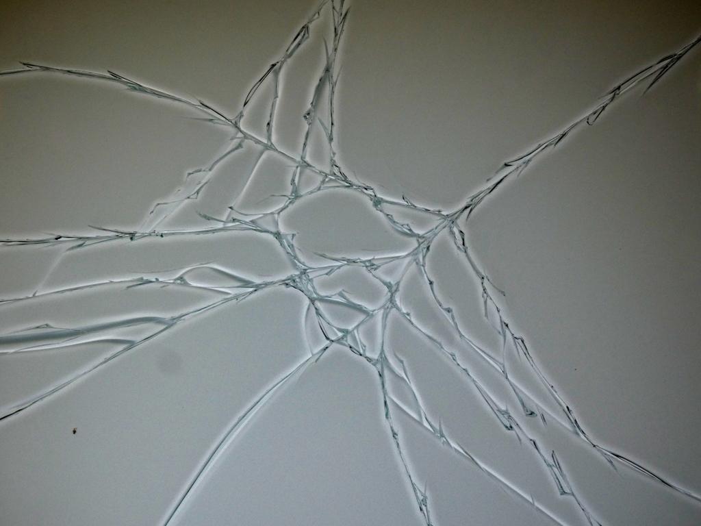 3887-0035.JPG