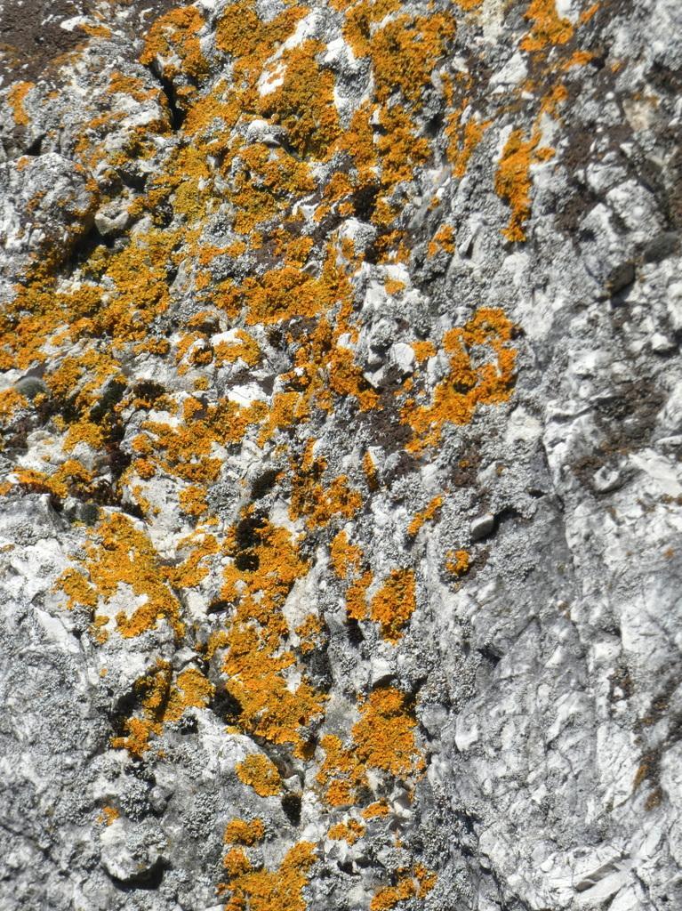 4012-0014.JPG