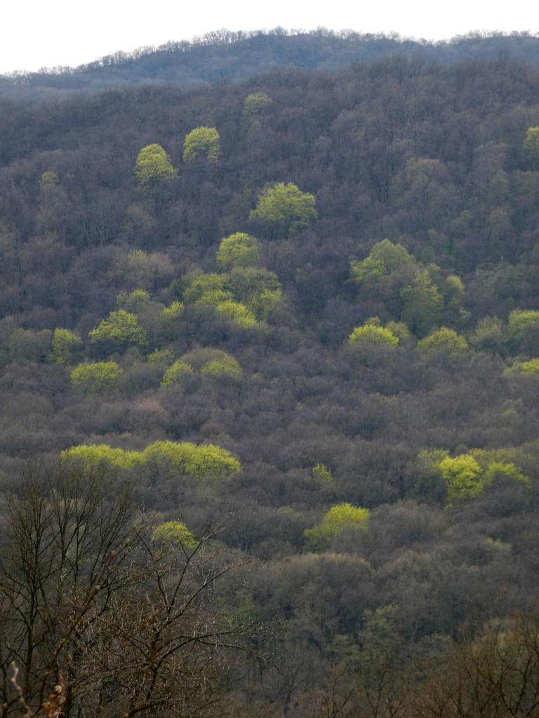 4012-0031.JPG