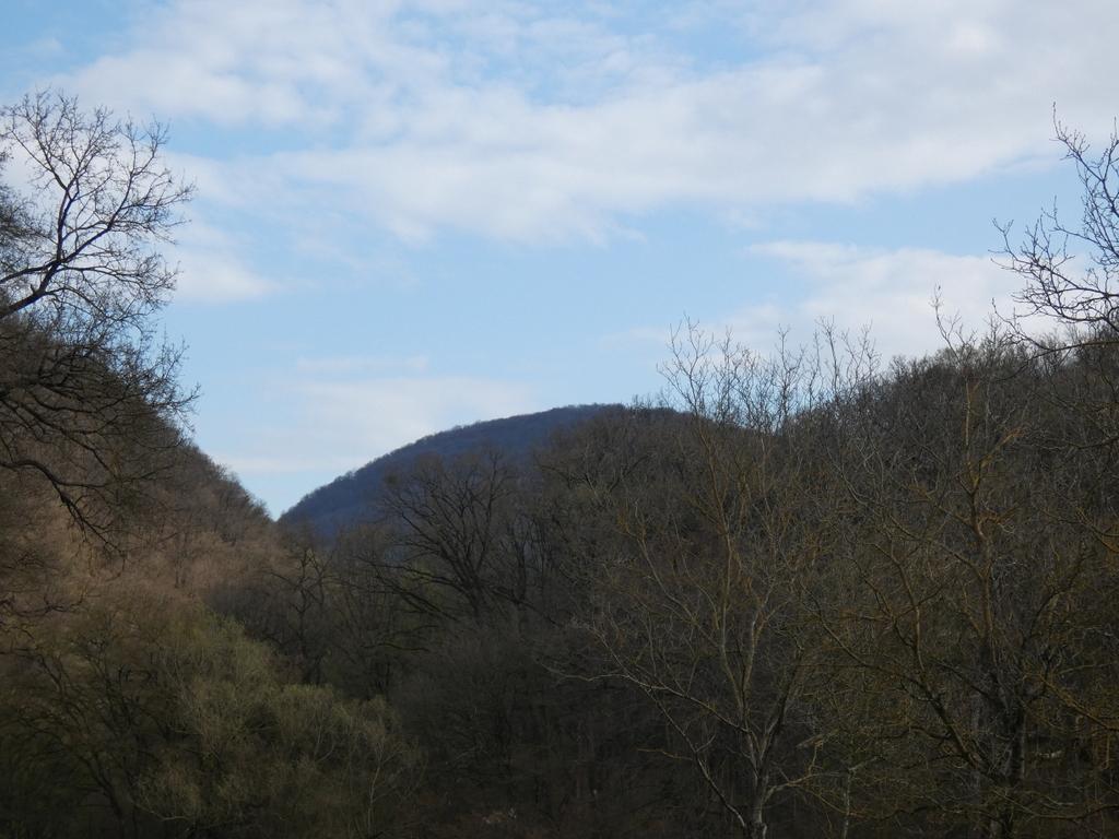 4012-0034.JPG