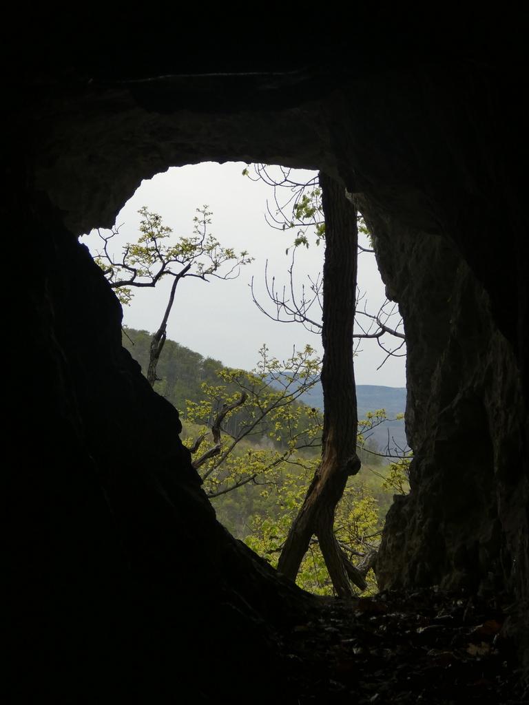 4018-0010.JPG
