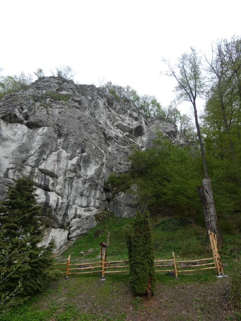 4018-0018.JPG