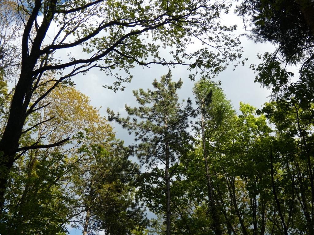 4020-0004.JPG