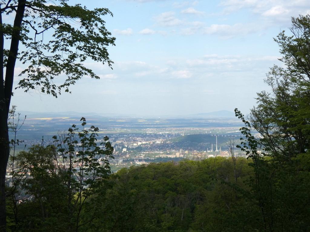 4020-0007.JPG