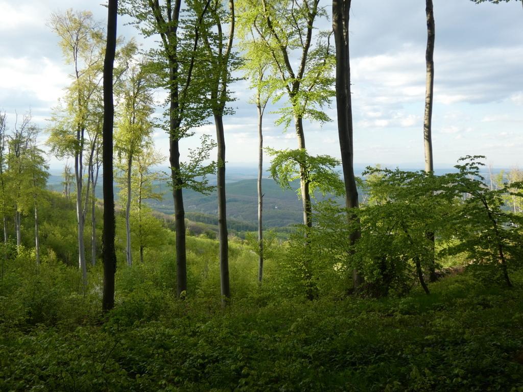 4020-0009.JPG