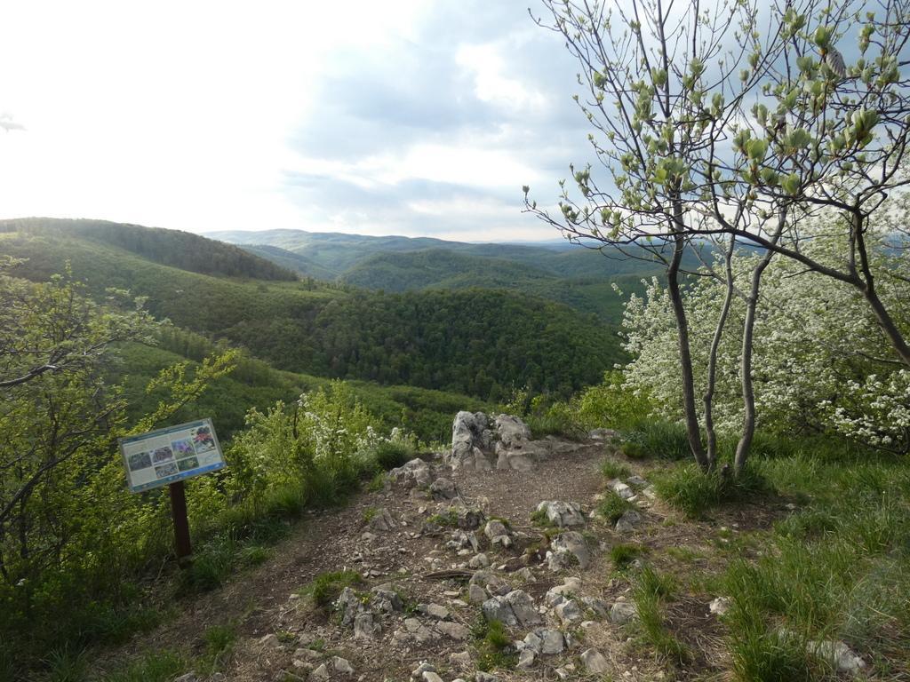 4020-0012.JPG
