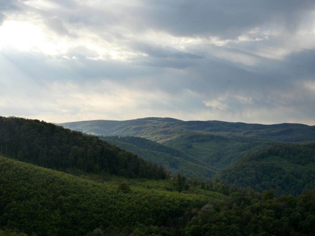 4020-0014.JPG