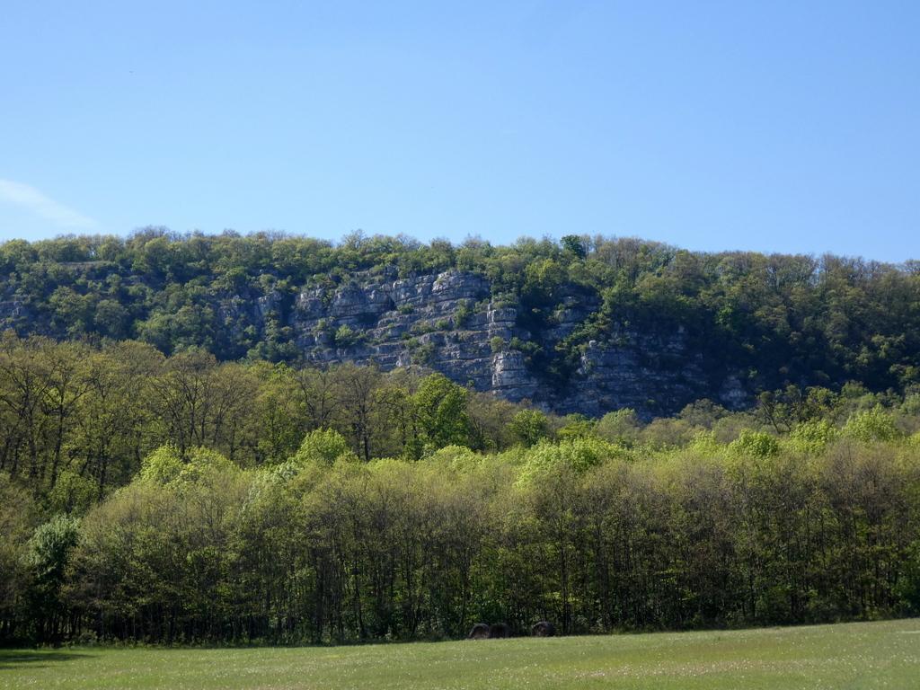 4022-0043.JPG