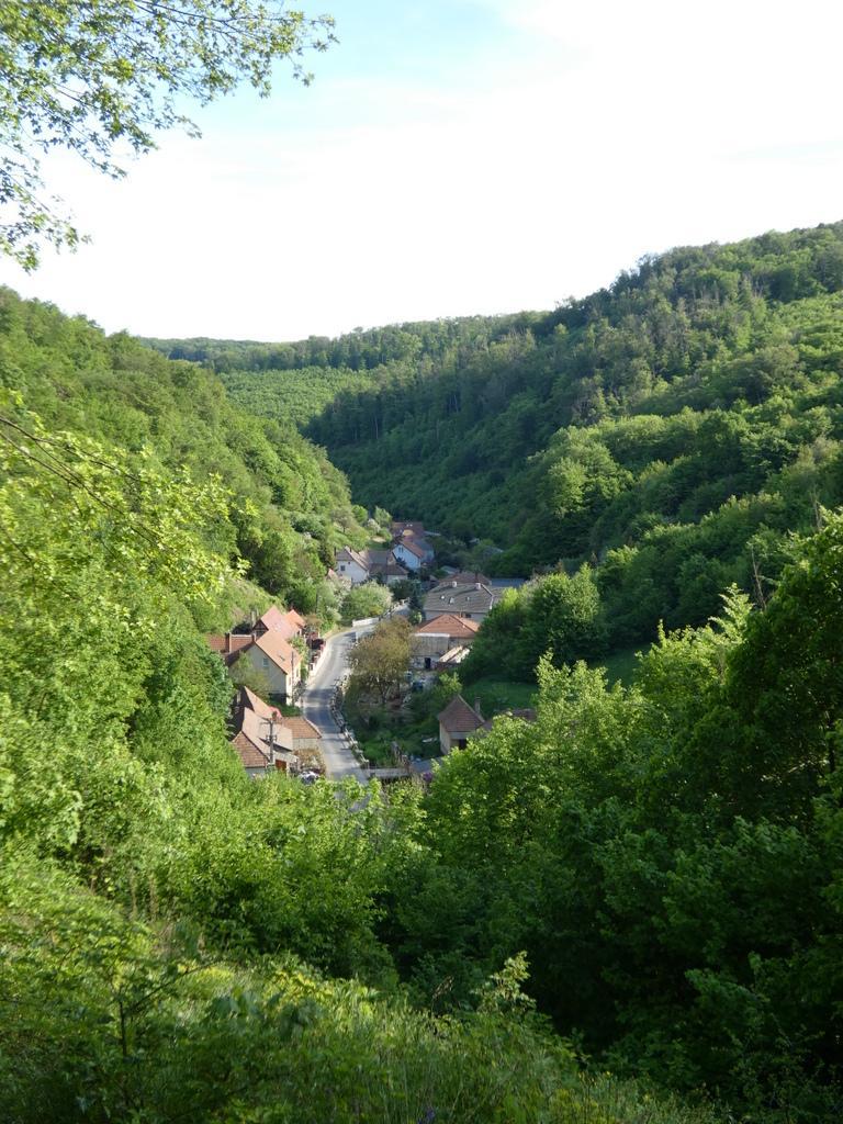 4025-0005.JPG