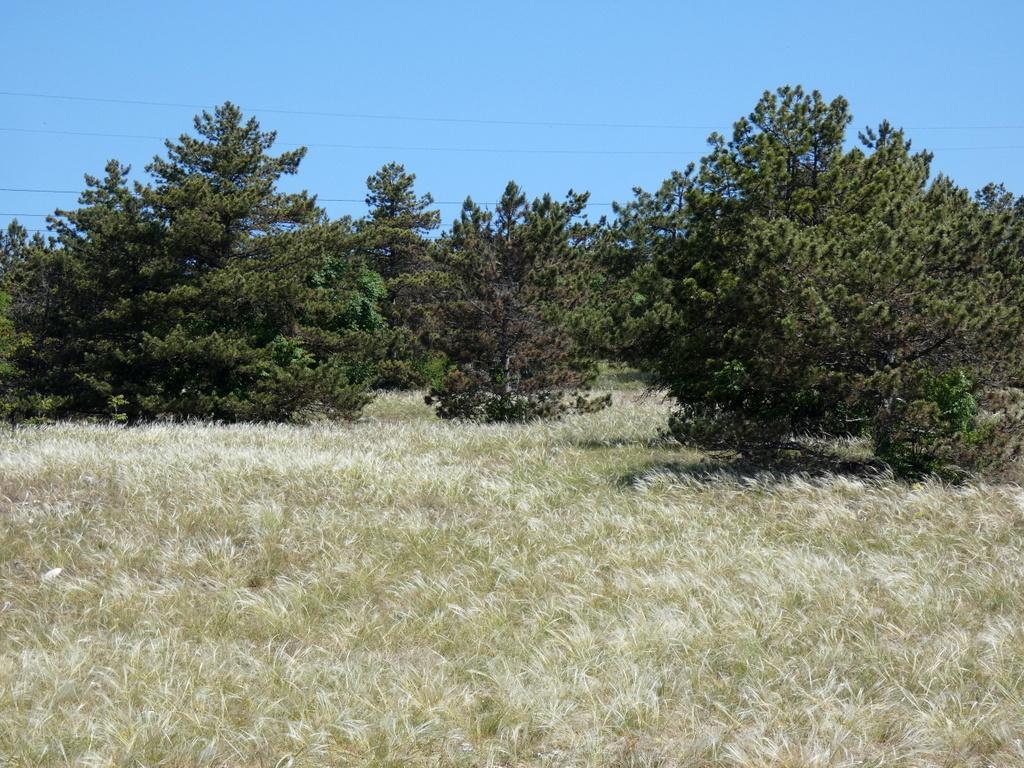 4026-0002.JPG