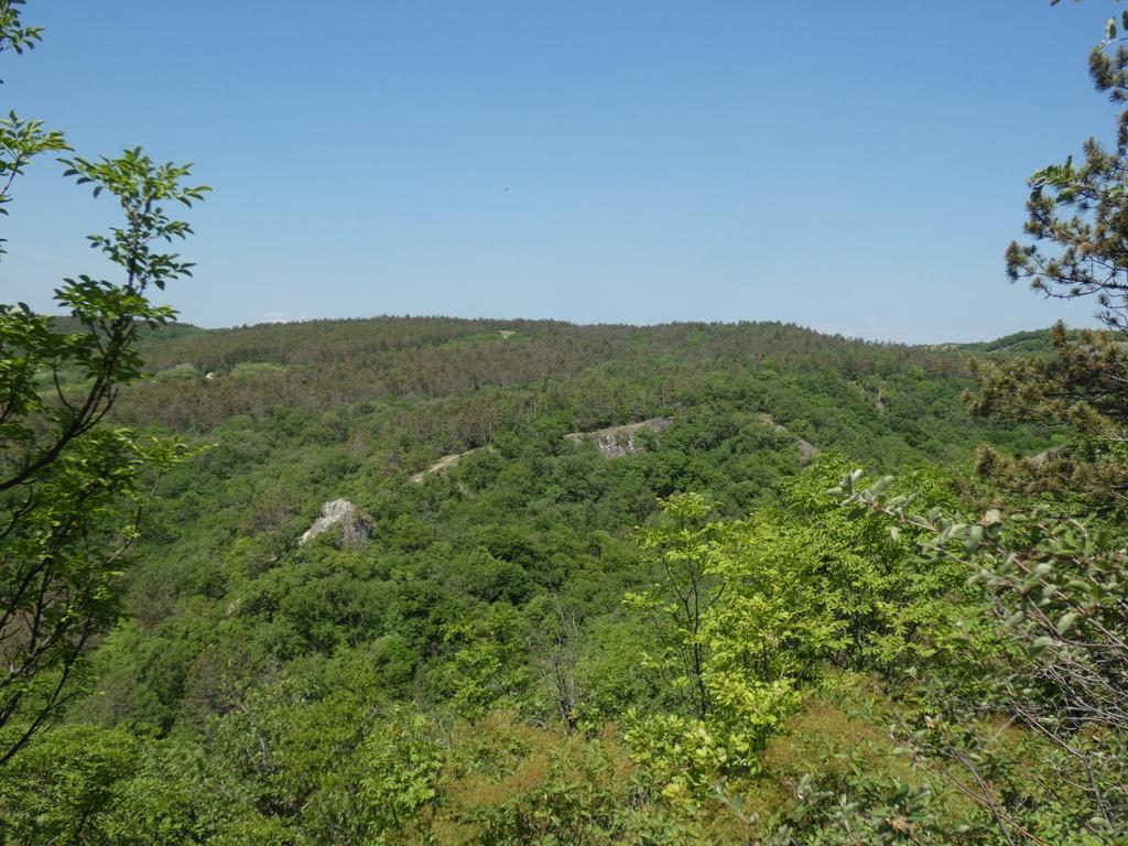 4026-0009.JPG