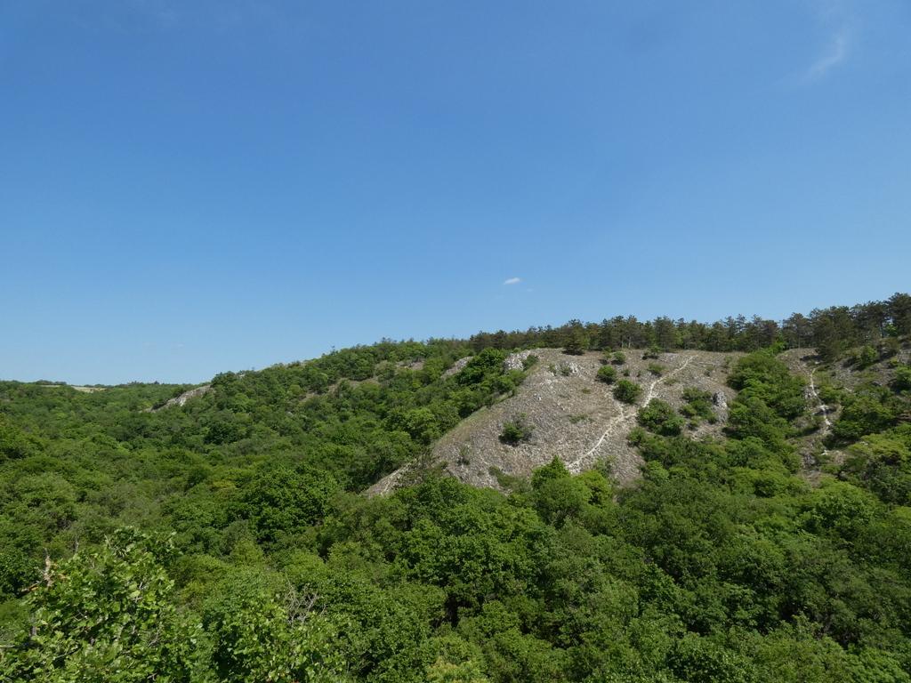 4026-0033.JPG