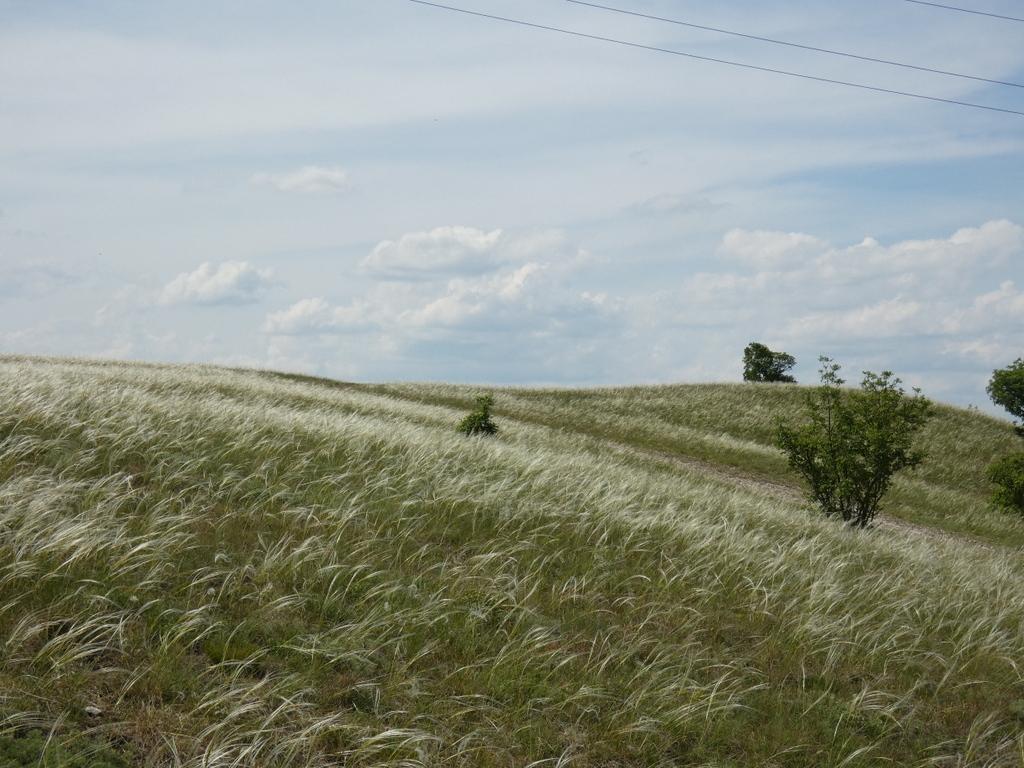 4026-0048.JPG