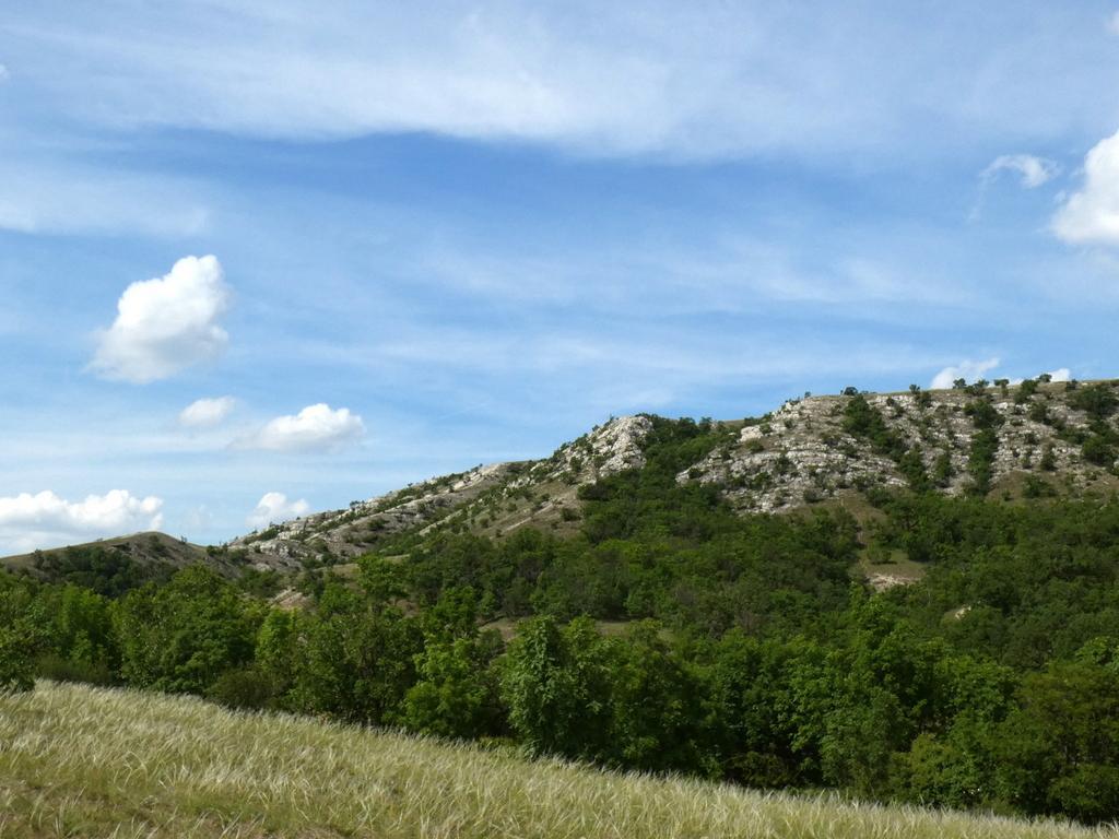 4026-0050.JPG