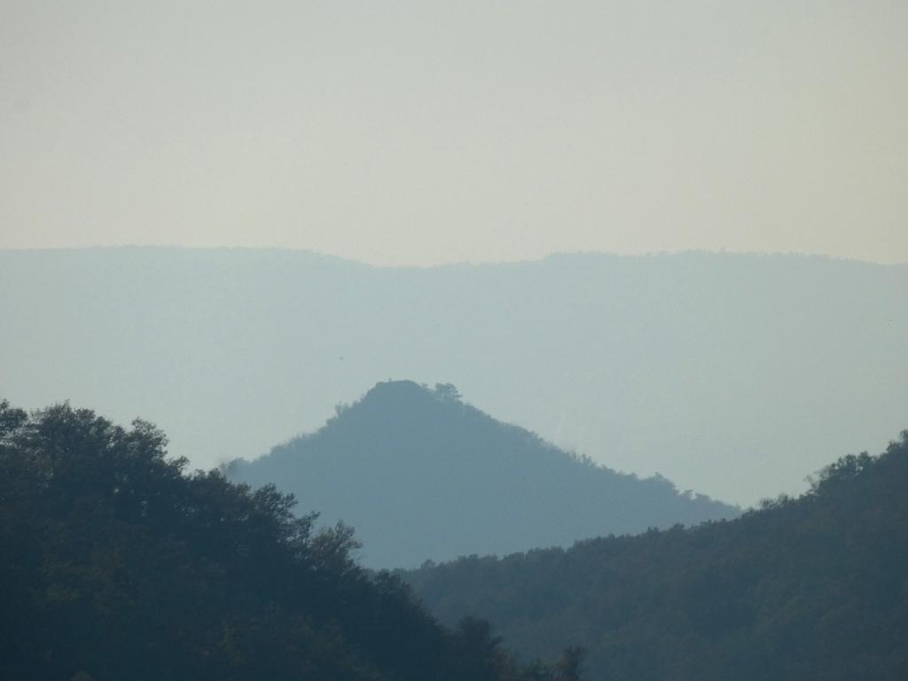 3905-0069.JPG