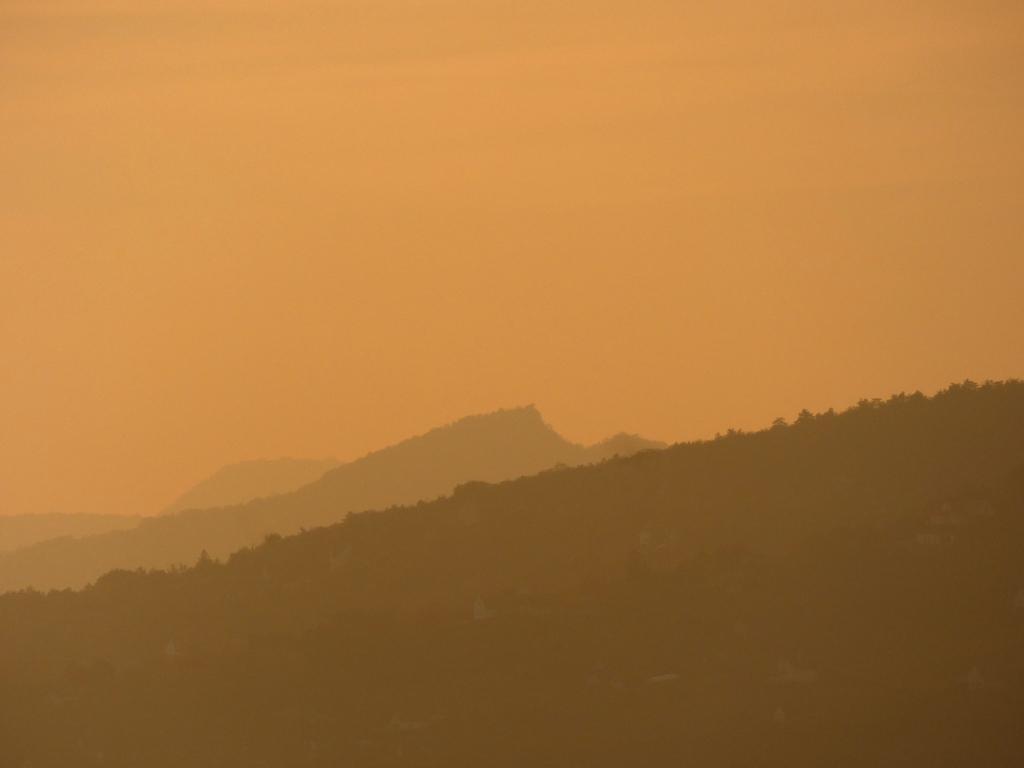 3905-0077.JPG