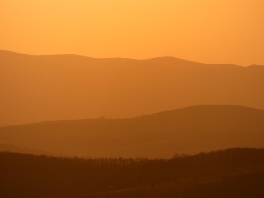 3937-0042.JPG