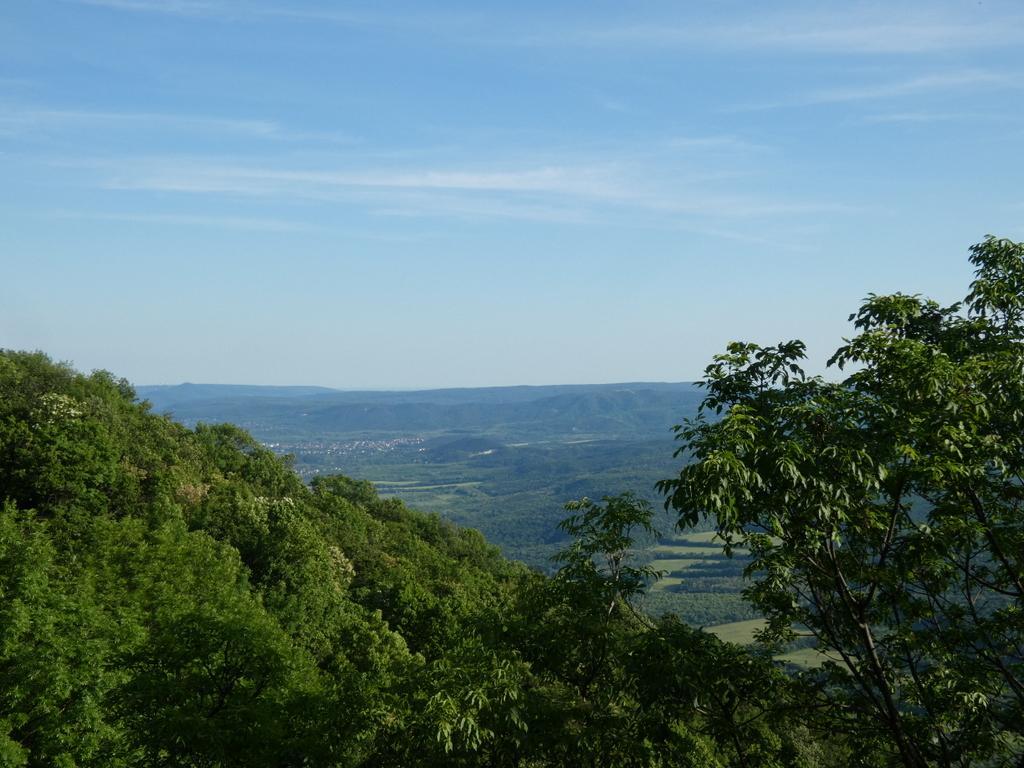 4029-0003.JPG