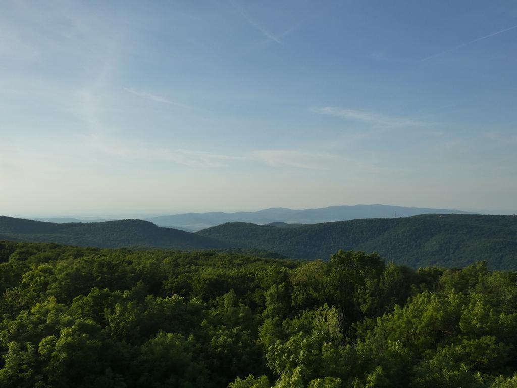 4029-0015.JPG