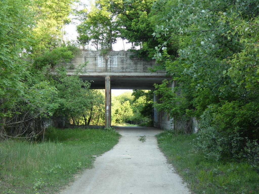 4029-0036.JPG