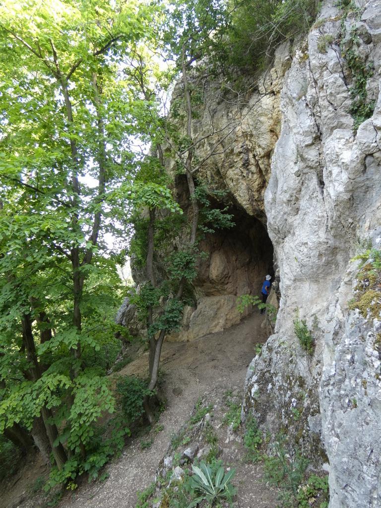 4029-0050.JPG