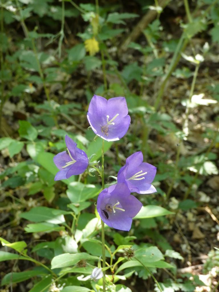 4029-0061.JPG