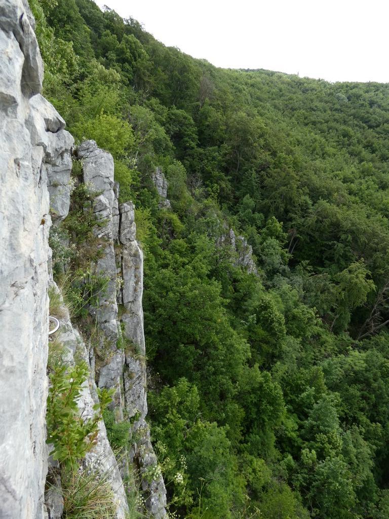 4031-0021.JPG
