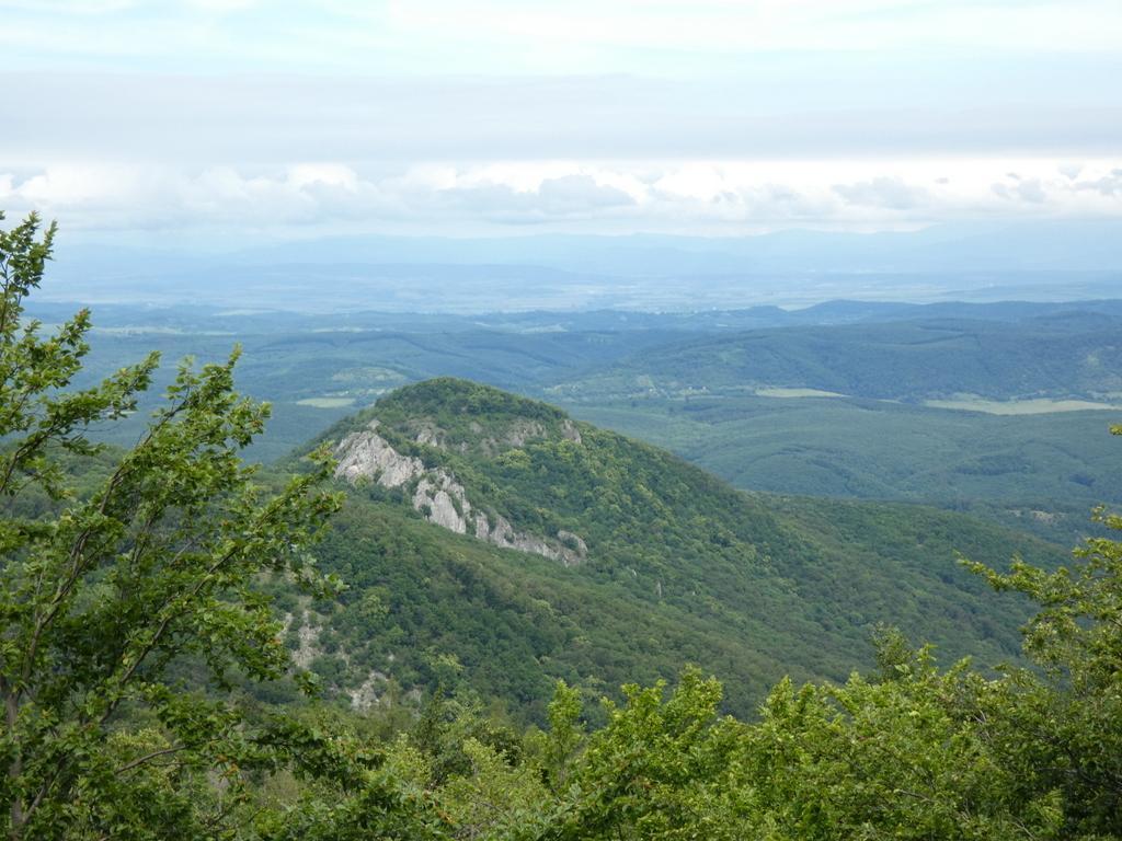 4031-0044.JPG