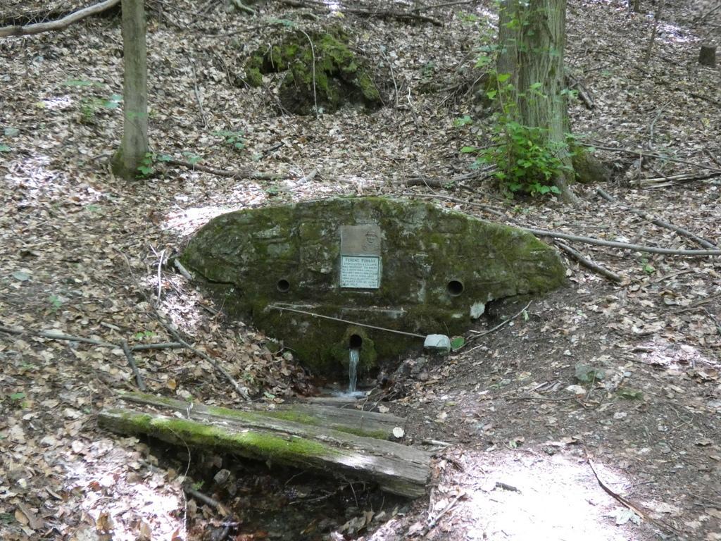 4031-0056.JPG