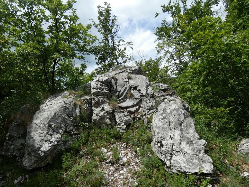 4031-0062.JPG