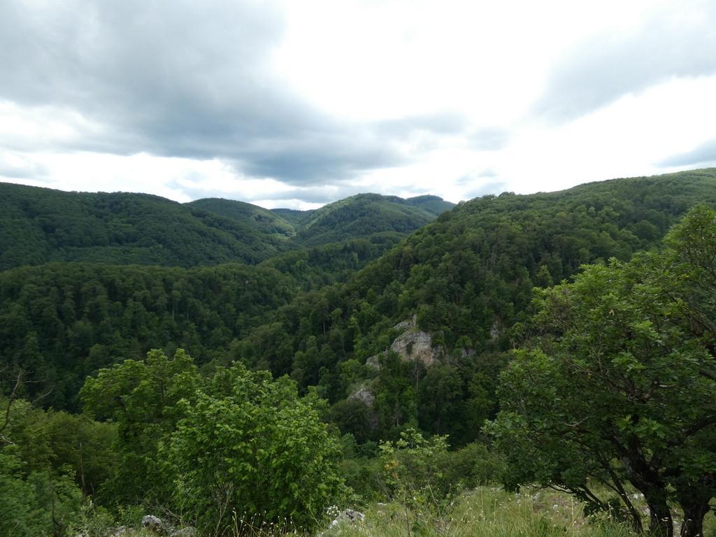 4031-0078.JPG