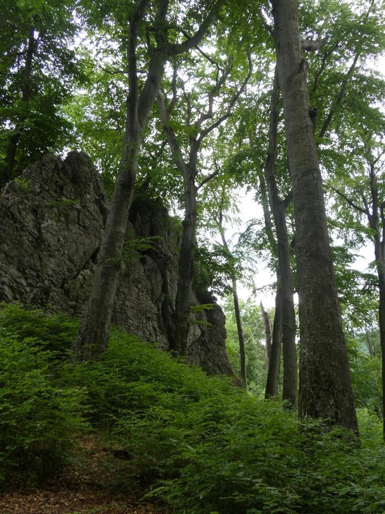 4031-0087.JPG