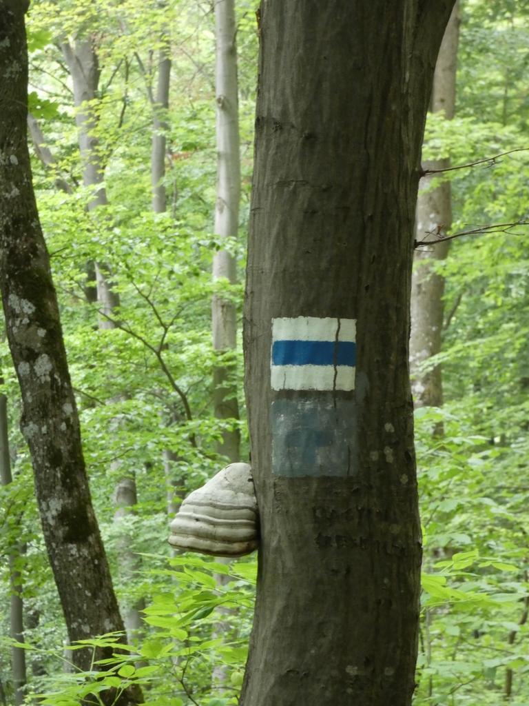 4031-0090.JPG