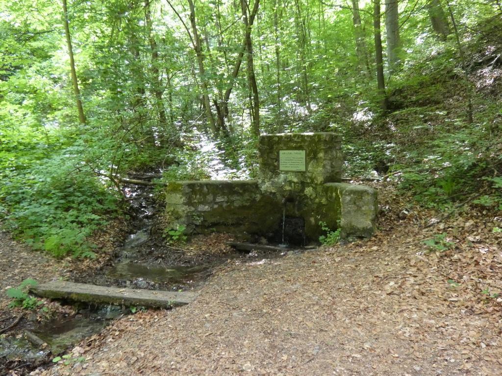 4031-0091.JPG