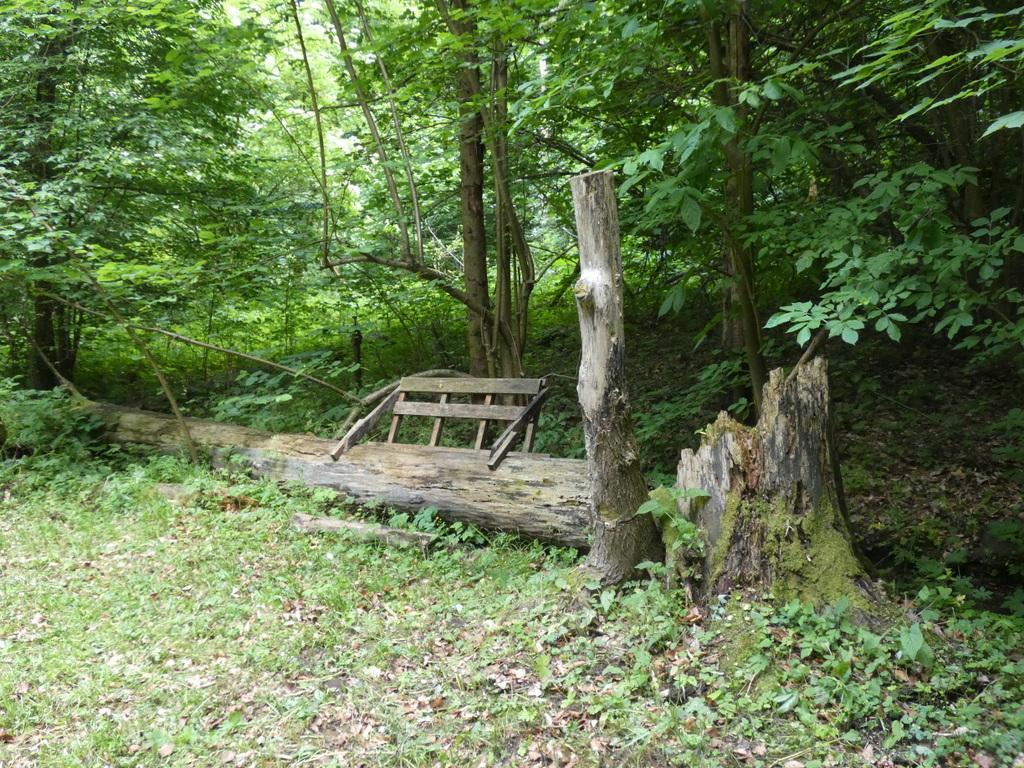 4031-0093.JPG