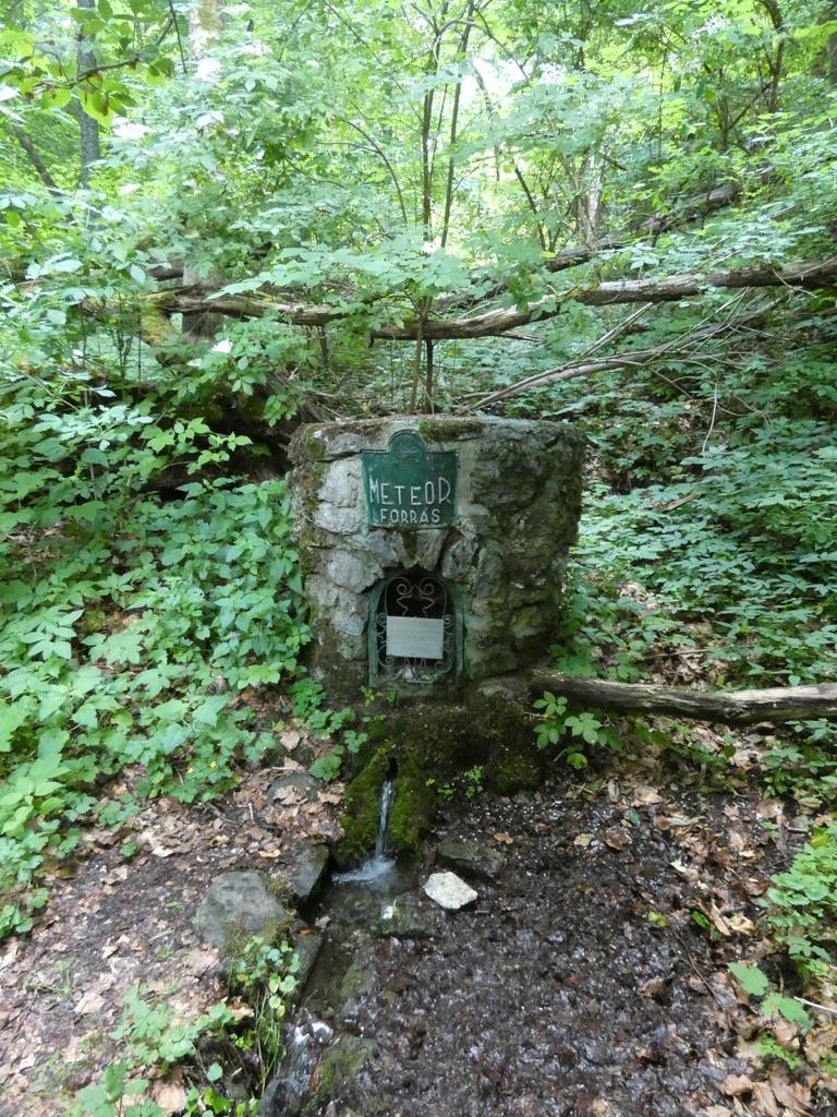 4031-0094.JPG