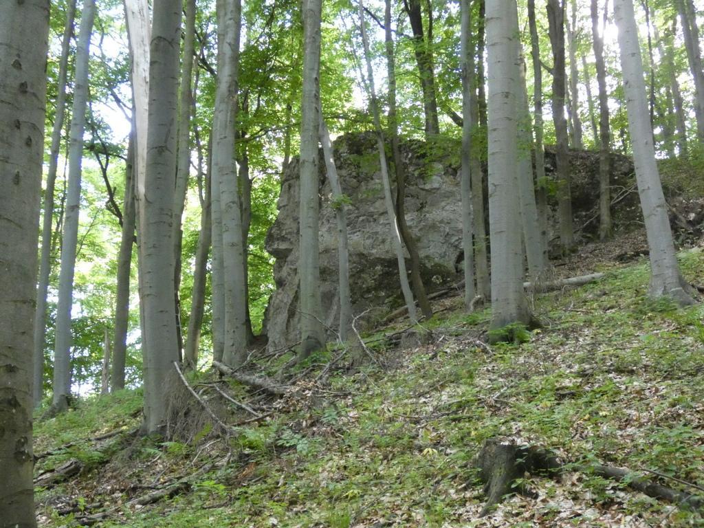 4031-0099.JPG
