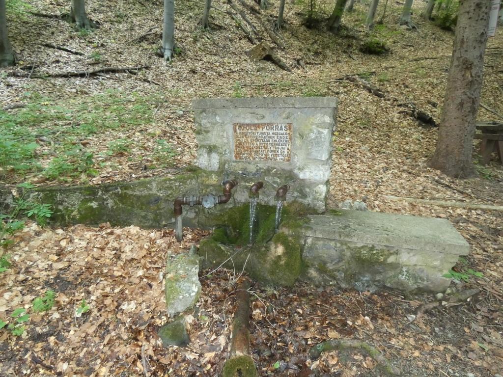 4031-0104.JPG
