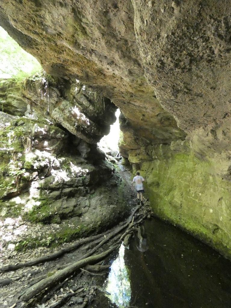 4031-0118.JPG
