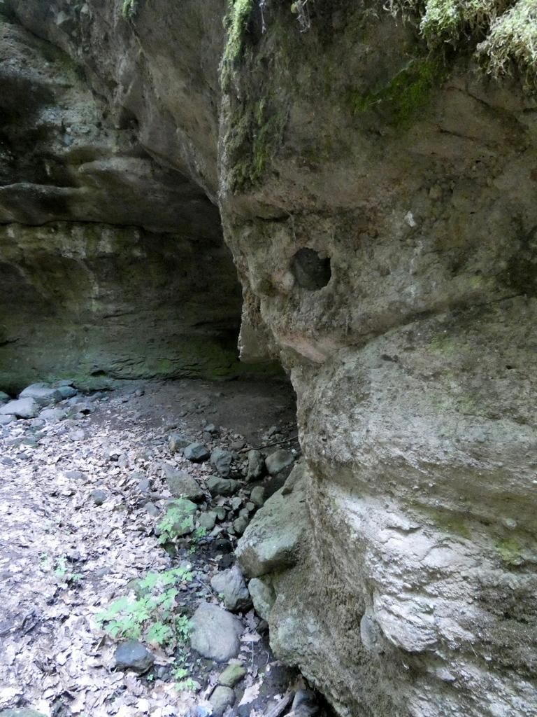 4031-0128.JPG