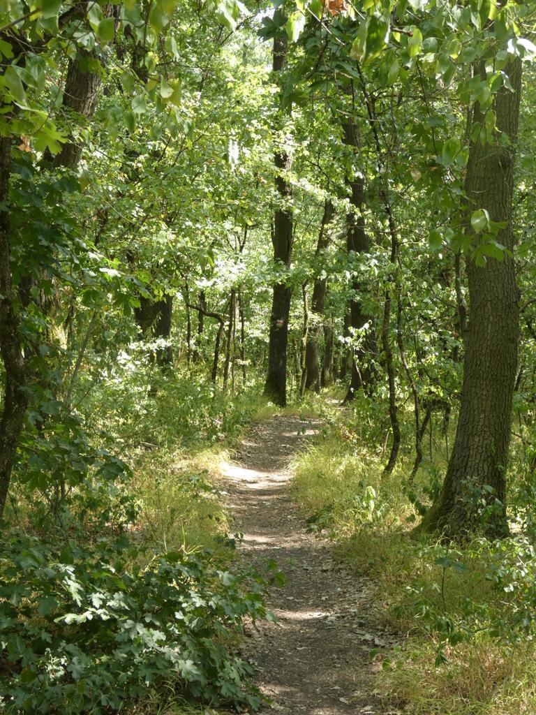4043-0018.JPG